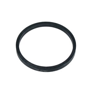 O Ring Schwarz für Anschlussverschraubung Poolpumpe AF